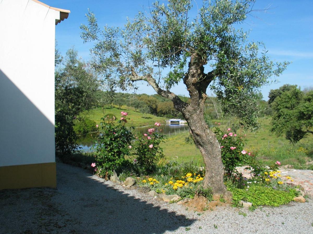Monte Da Pereira Villa Sao Cristovao Eksteriør billede